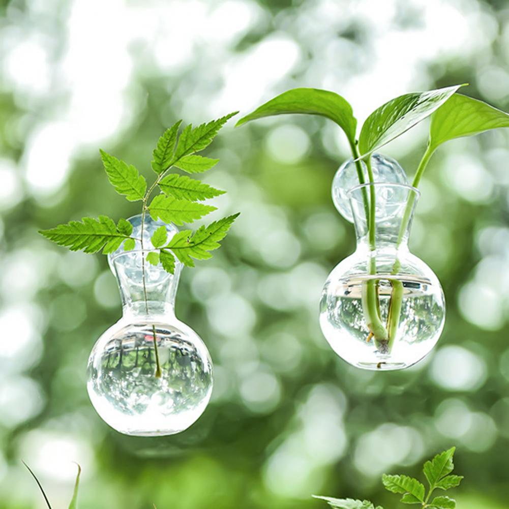 Plant Growth Regulator - Window Planter Vase Window Plant Holder