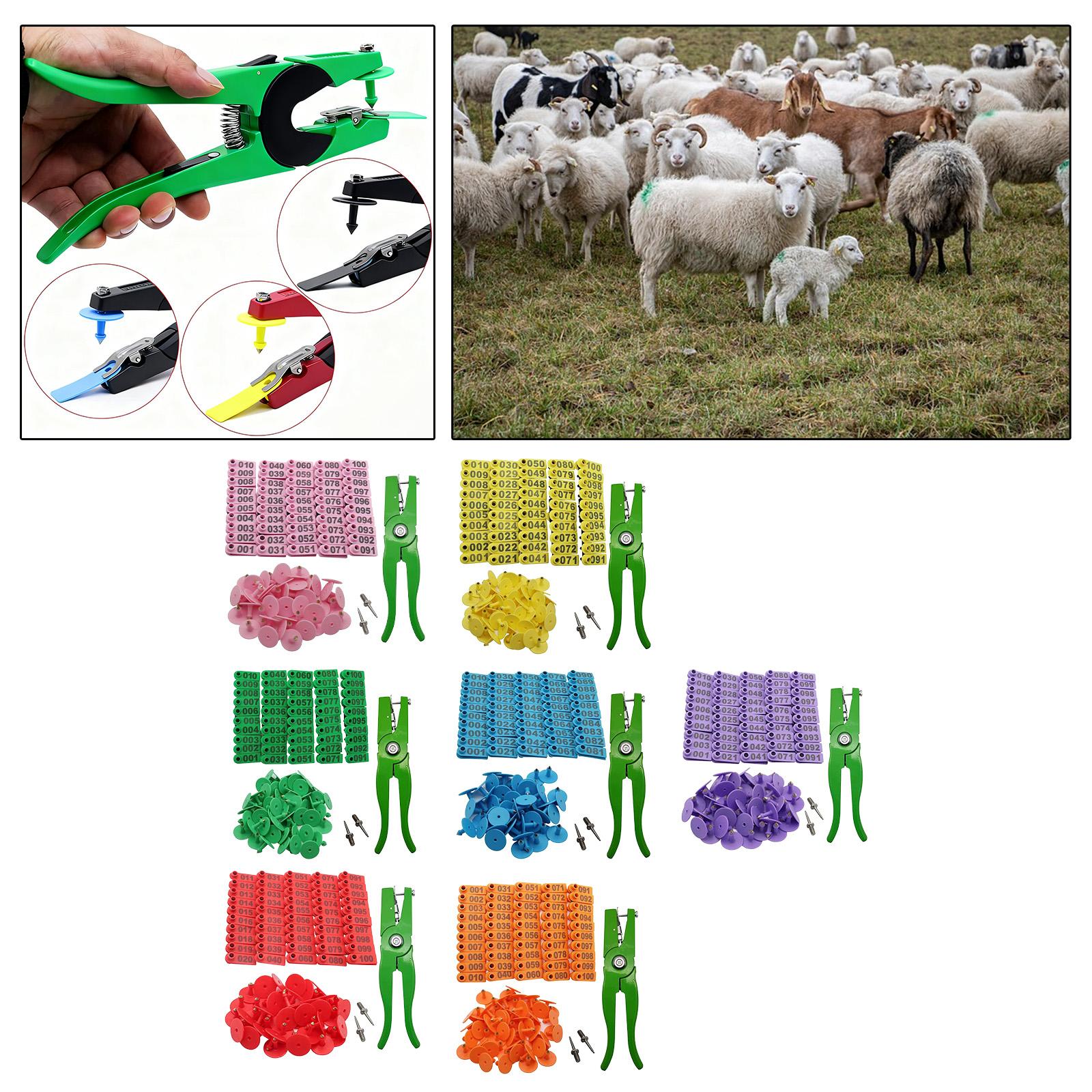 Livestock Ear Tag - Livestock Animal ID Numbered Ear Tag