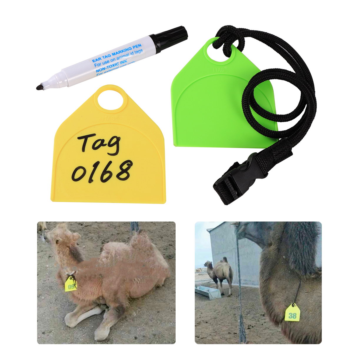 Livestock Ear Tag - 1set Anti-tear Cattle Camel Horse Ostrich