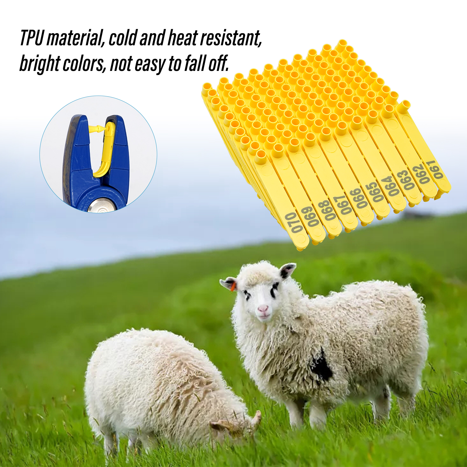 100pcs Sheep Ear Tags Livestoc - Livestock Ear Tag reseña y precio