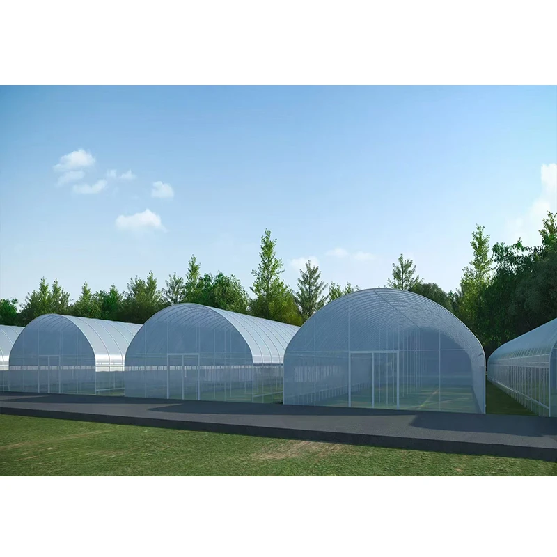 # l Low Cost Farm Singlespan G - Agriculture Farm House reseña y precio