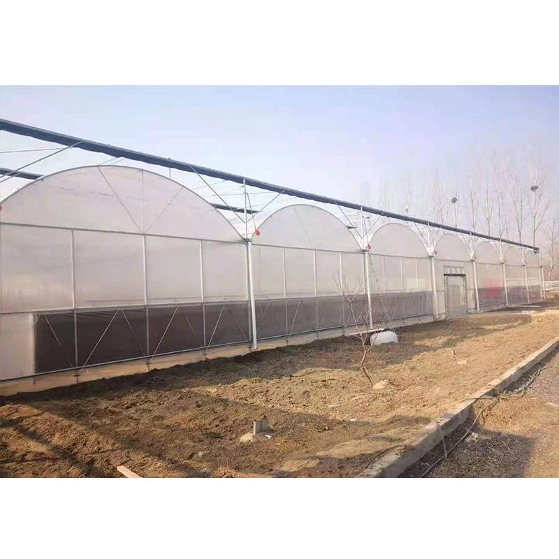 # l Low Cost Farm Singlespan G - Agriculture Farm House reseña y precio