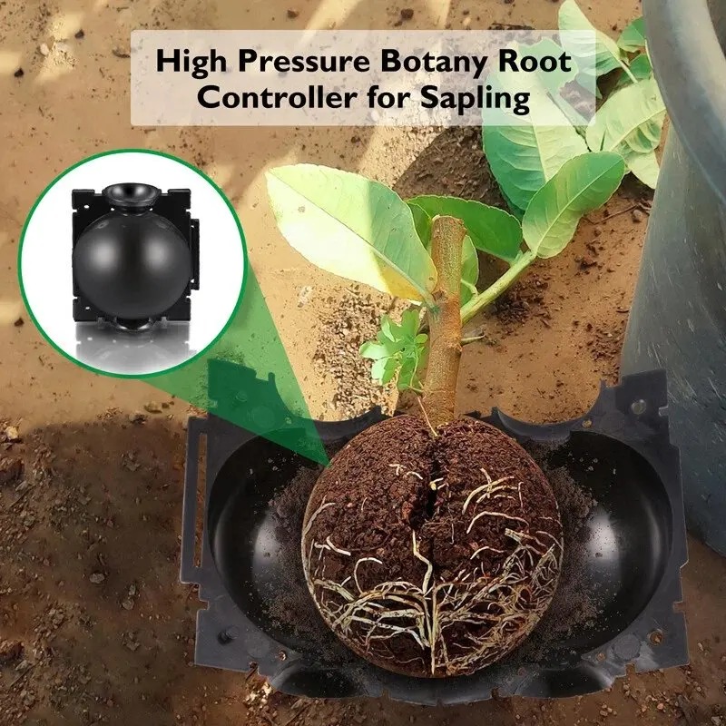 5/30Pcs Plant Rooting Ball Gra - Plant Growth Regulator reseña y precio