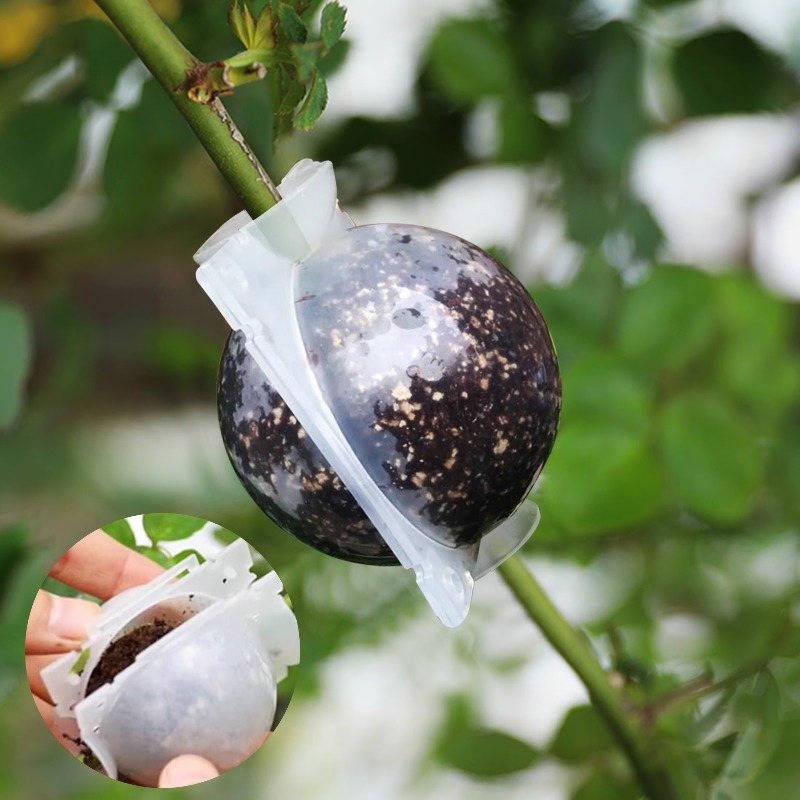 5/30Pcs Plant Rooting Ball Gra - Plant Growth Regulator reseña y precio