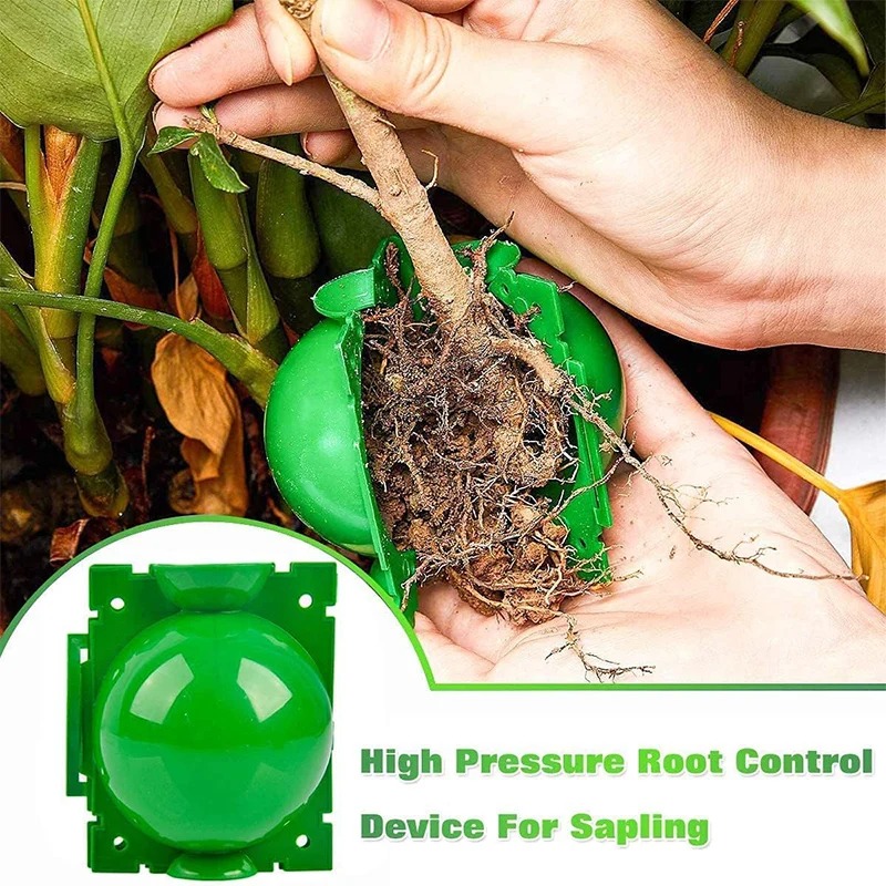 5/30Pcs Plant Rooting Ball Gra - Plant Growth Regulator reseña y precio