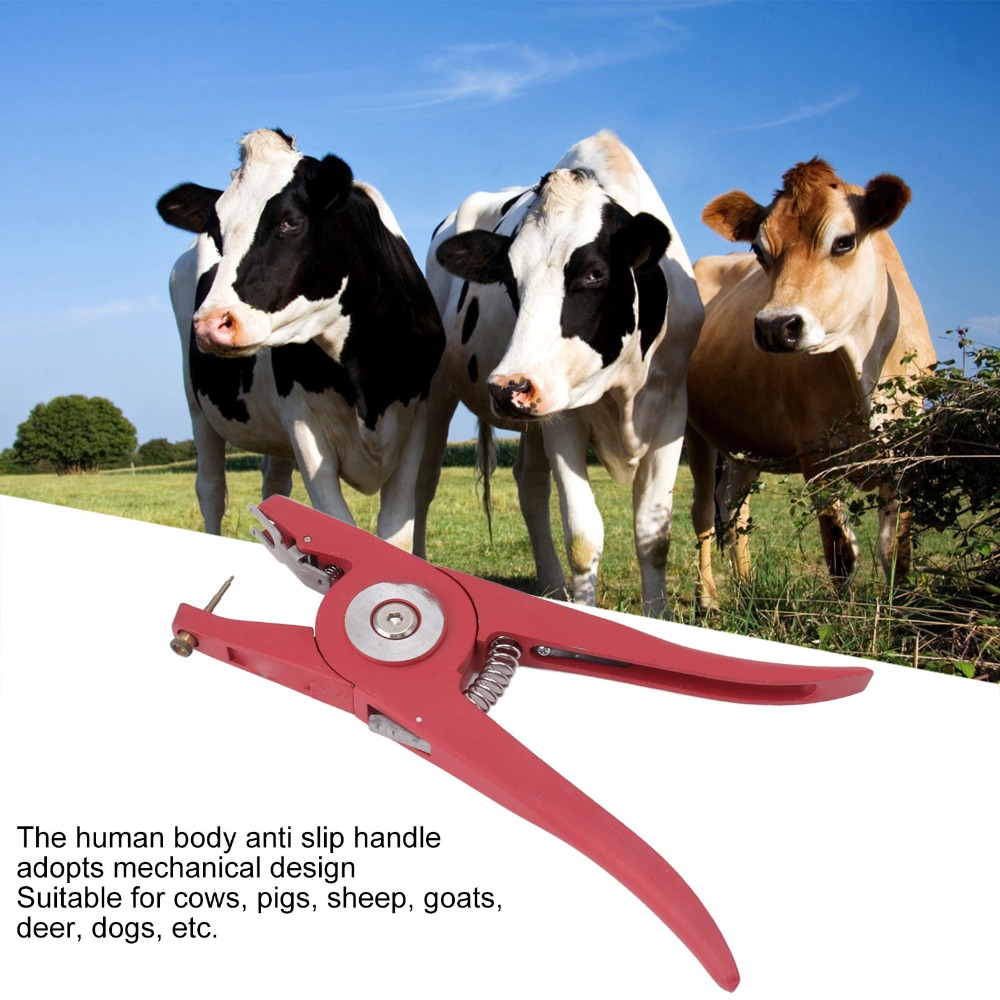 Alloy Livestock Ear Tag Pliers - Livestock Ear Tag reseña y precio