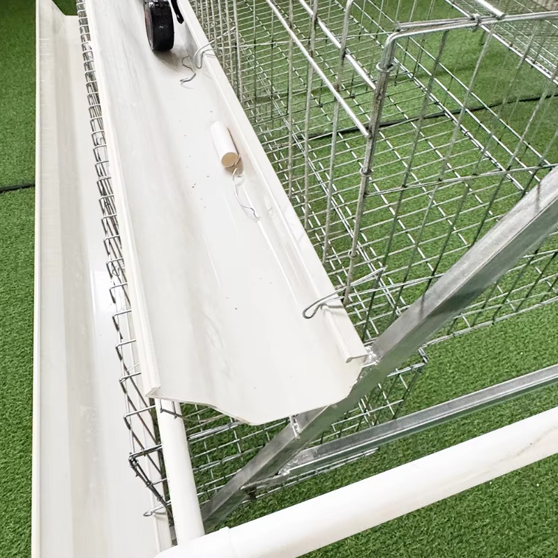 Cheap Price Poultry Farm 10000 - Farming Africa reseña y precio