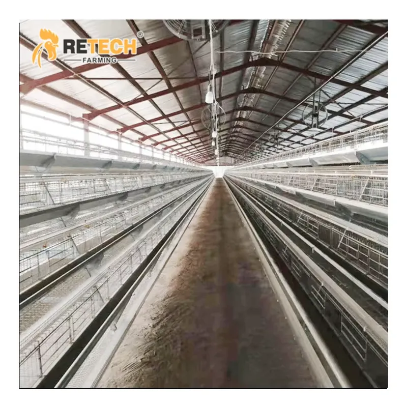 Automatic Layer Chicken Cage A - Farming Africa reseña y precio