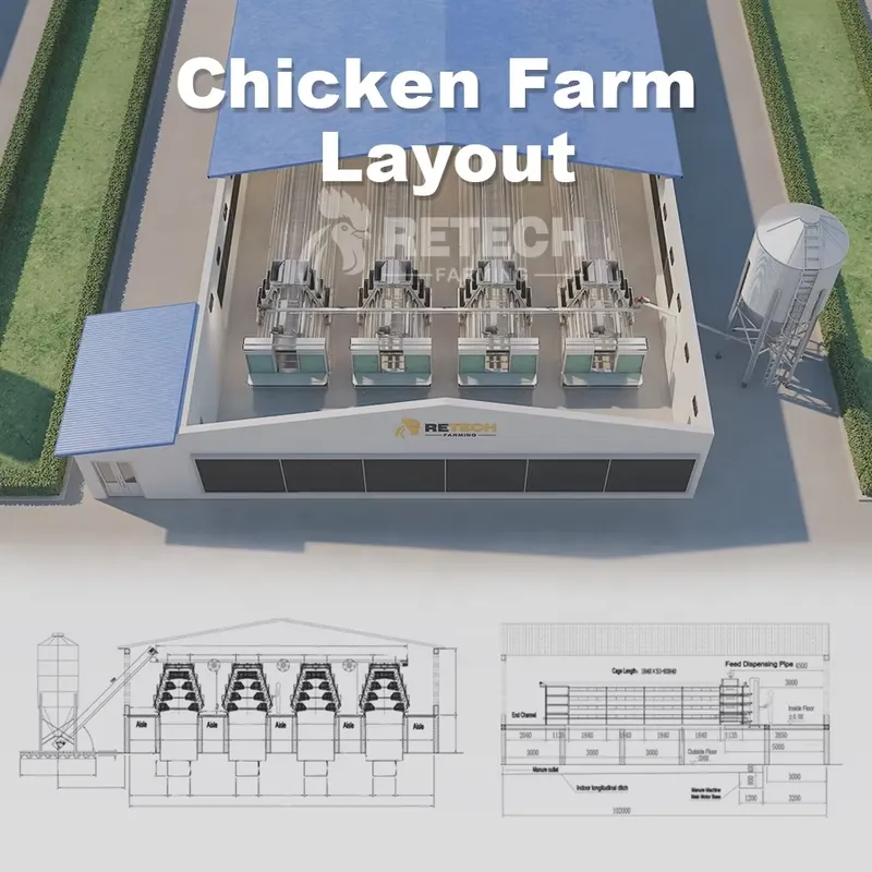 Automatic Layer Chicken Cage A - Farming Africa reseña y precio