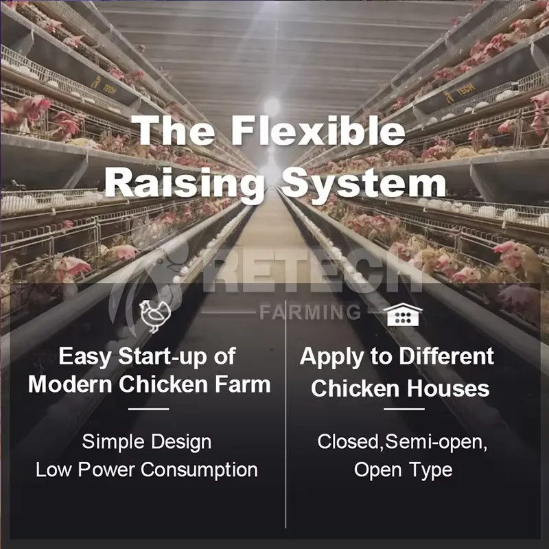 Automatic Layer Chicken Cage A - Farming Africa reseña y precio