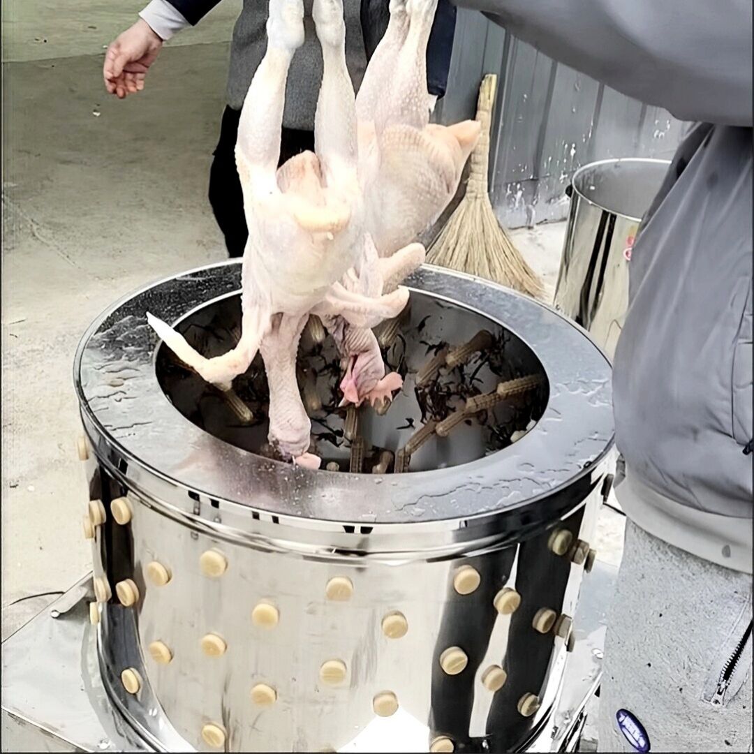 Poultry Hair Remover for Farms - Farming Africa reseña y precio