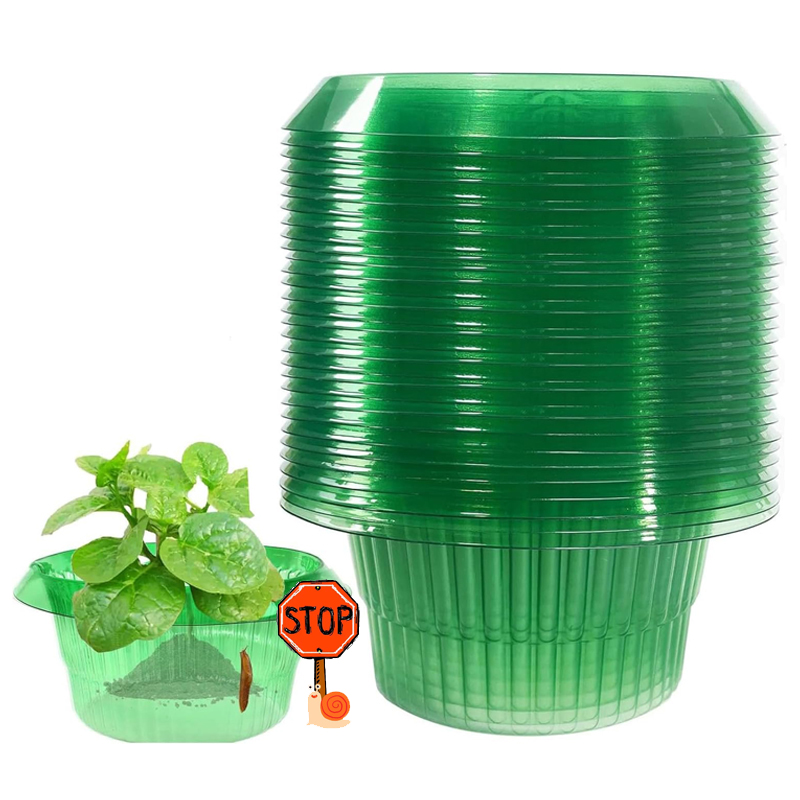 5-25Pcs Plants Slug Protection - Vegetable Transplanter reseña y precio