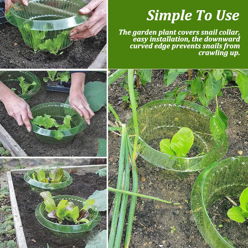 5-25Pcs Plants Slug Protection - Vegetable Transplanter reseña y precio