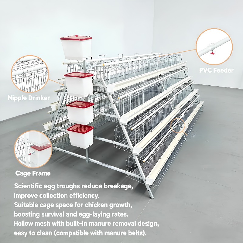  chicken coop New Africa a Typ - Farming Africa reseña y precio