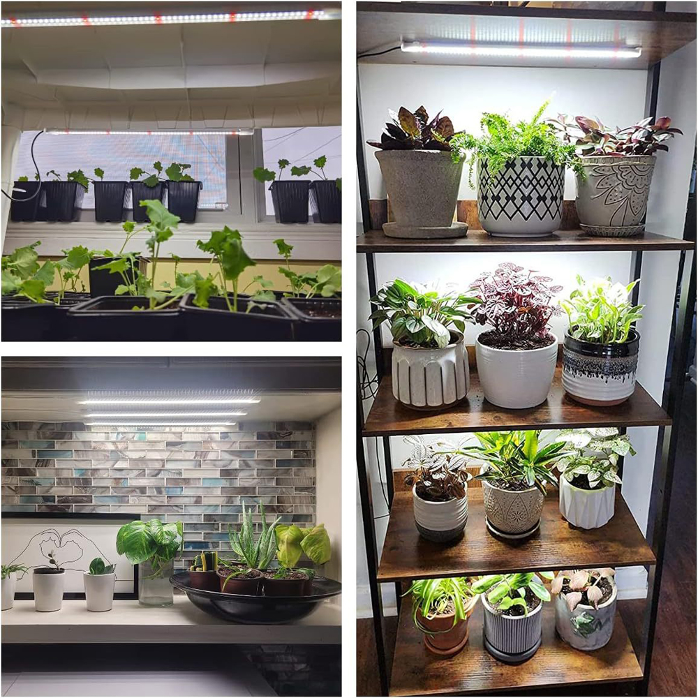Indoor Led Plant Grow Light Wi - Plant Growth Regulator reseña y precio