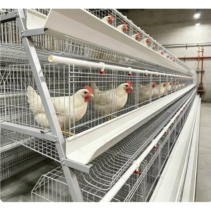A Type Battery Layer Cage Full - Farming Africa reseña y precio
