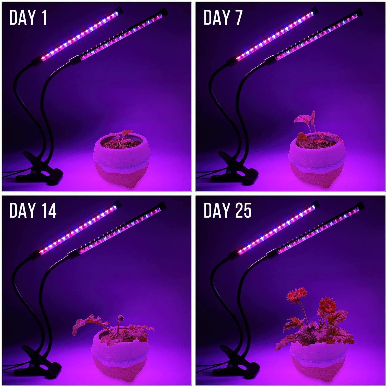 USB LED Plant Grow Light Indoo - Plant Growth Regulator reseña y precio