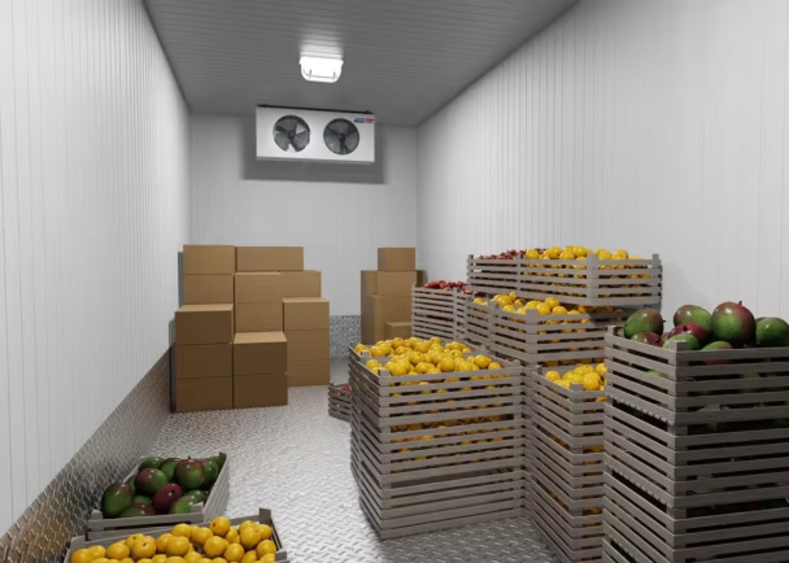 Solar Walk in Cold Storage Roo - Farming Africa reseña y precio