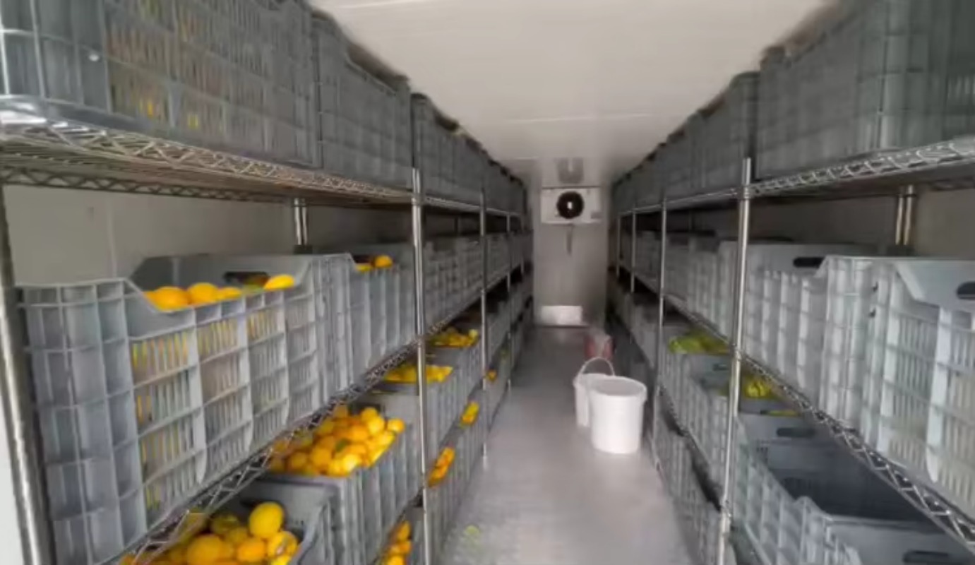 Solar Walk in Cold Storage Roo - Farming Africa reseña y precio