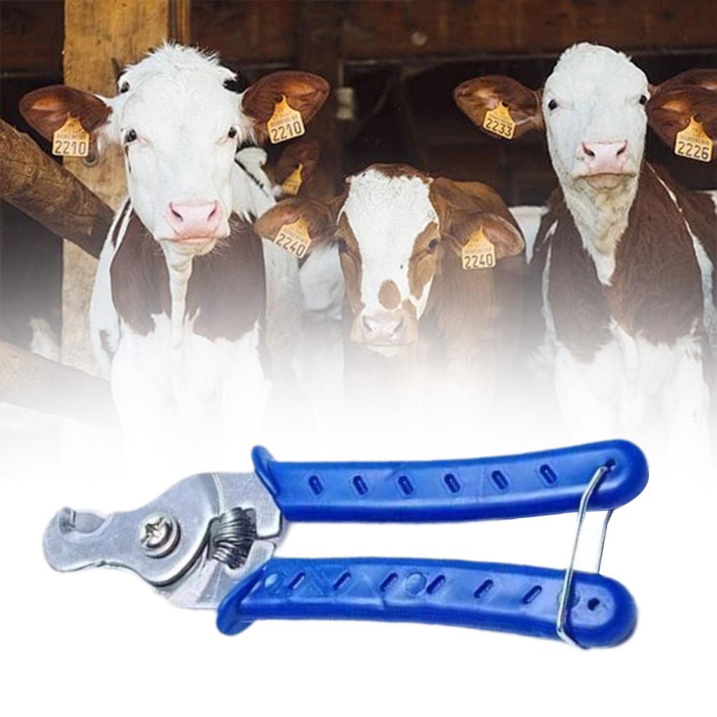 Stainless Steel Animal Ear Tag - Livestock Ear Tag reseña y precio