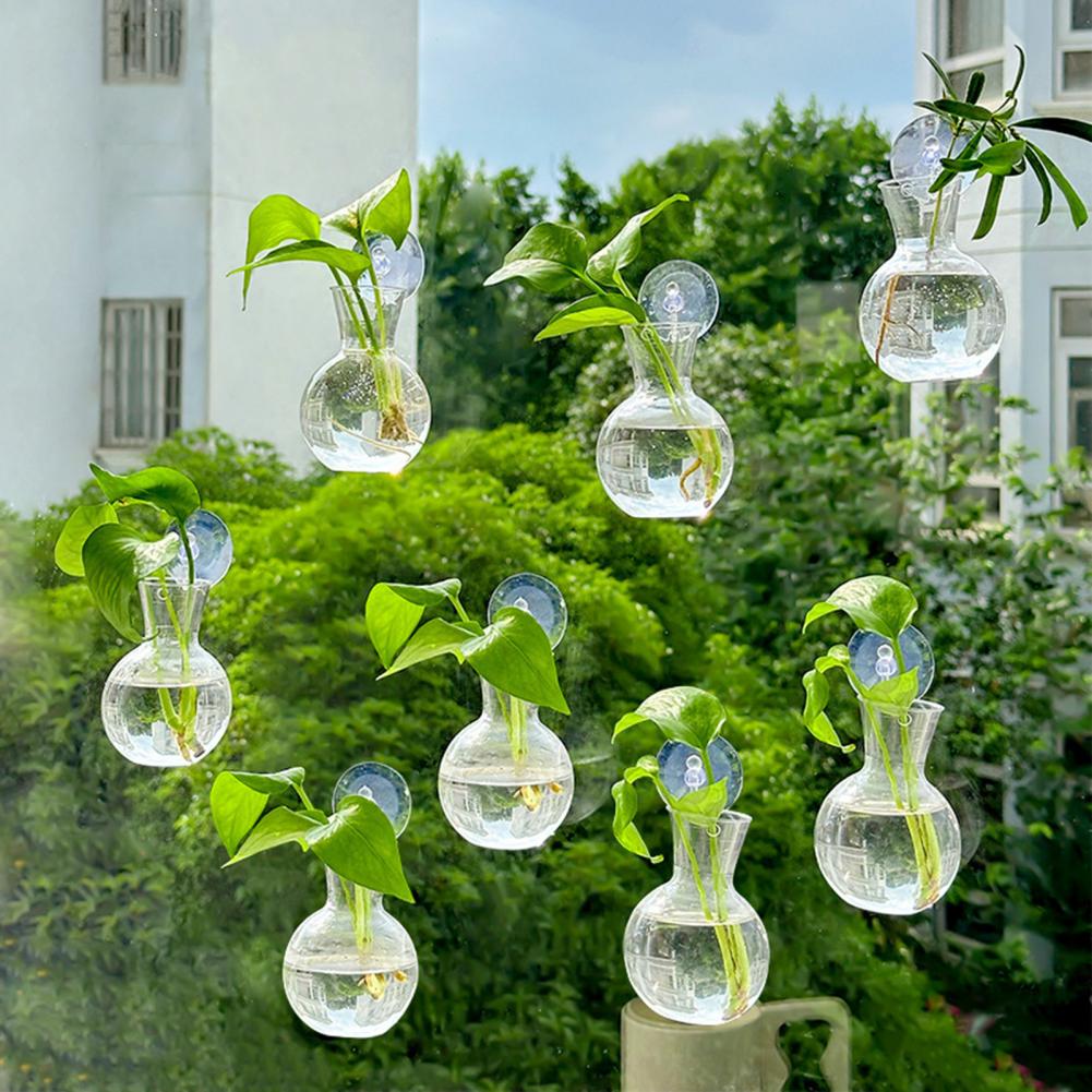 Window Planter Vase Window Pla - Plant Growth Regulator reseña y precio