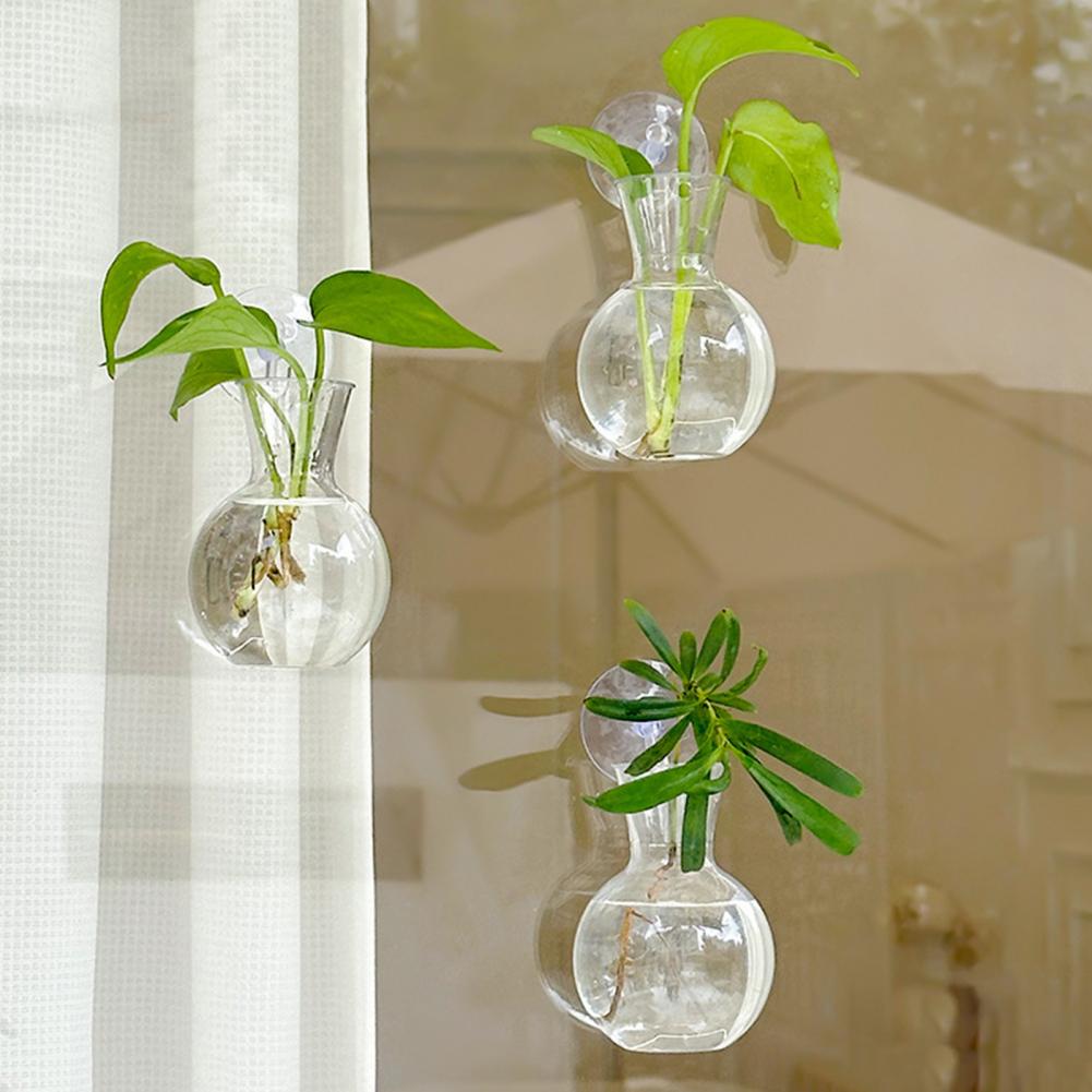 Window Planter Vase Window Pla - Plant Growth Regulator reseña y precio