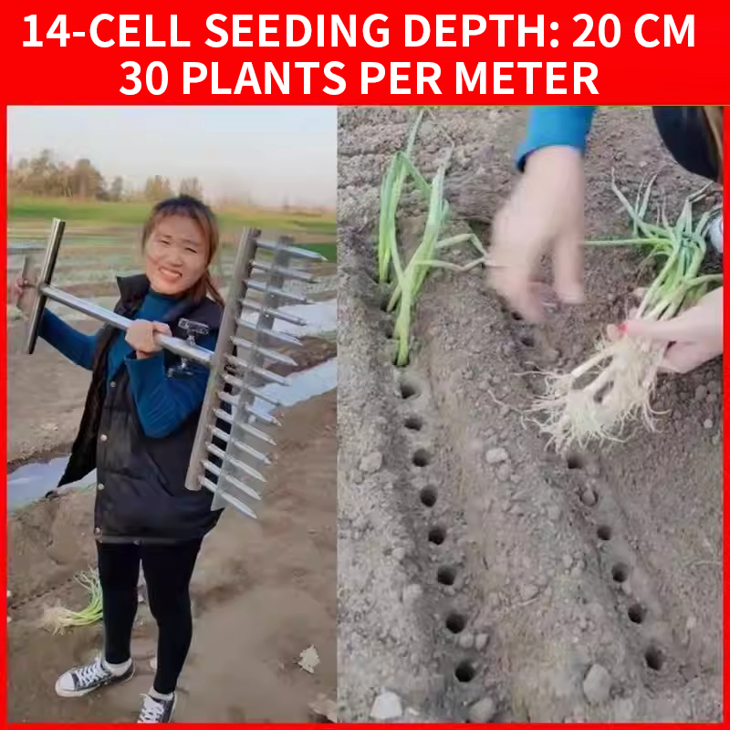 Onion Planter, Rice Transplant - Vegetable Transplanter reseña y precio