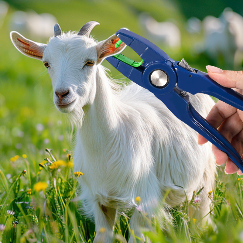 100pcs Integrated Sheep Ear Ta - Livestock Ear Tag reseña y precio