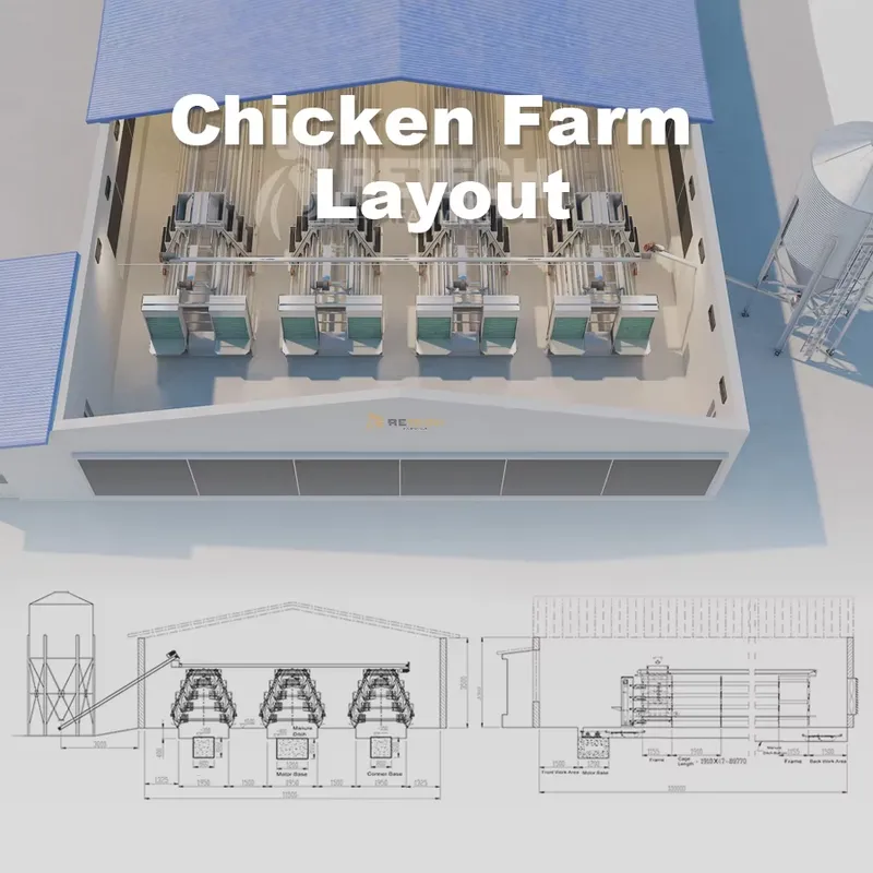 Automatic Egg Layer Chicken Ca - Farming Africa reseña y precio
