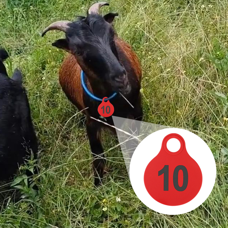 001-100 Cattle TPU Hanging Tag - Livestock Ear Tag reseña y precio