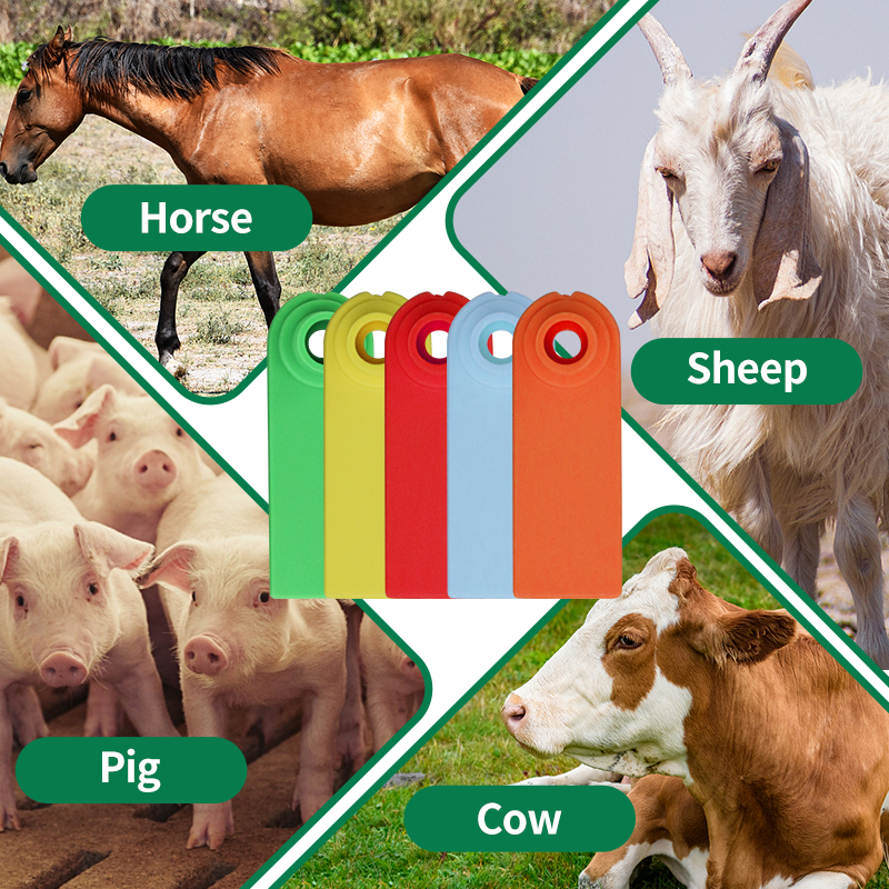 100Pcs Sheep Goat Ear Tags No  - Livestock Ear Tag reseña y precio