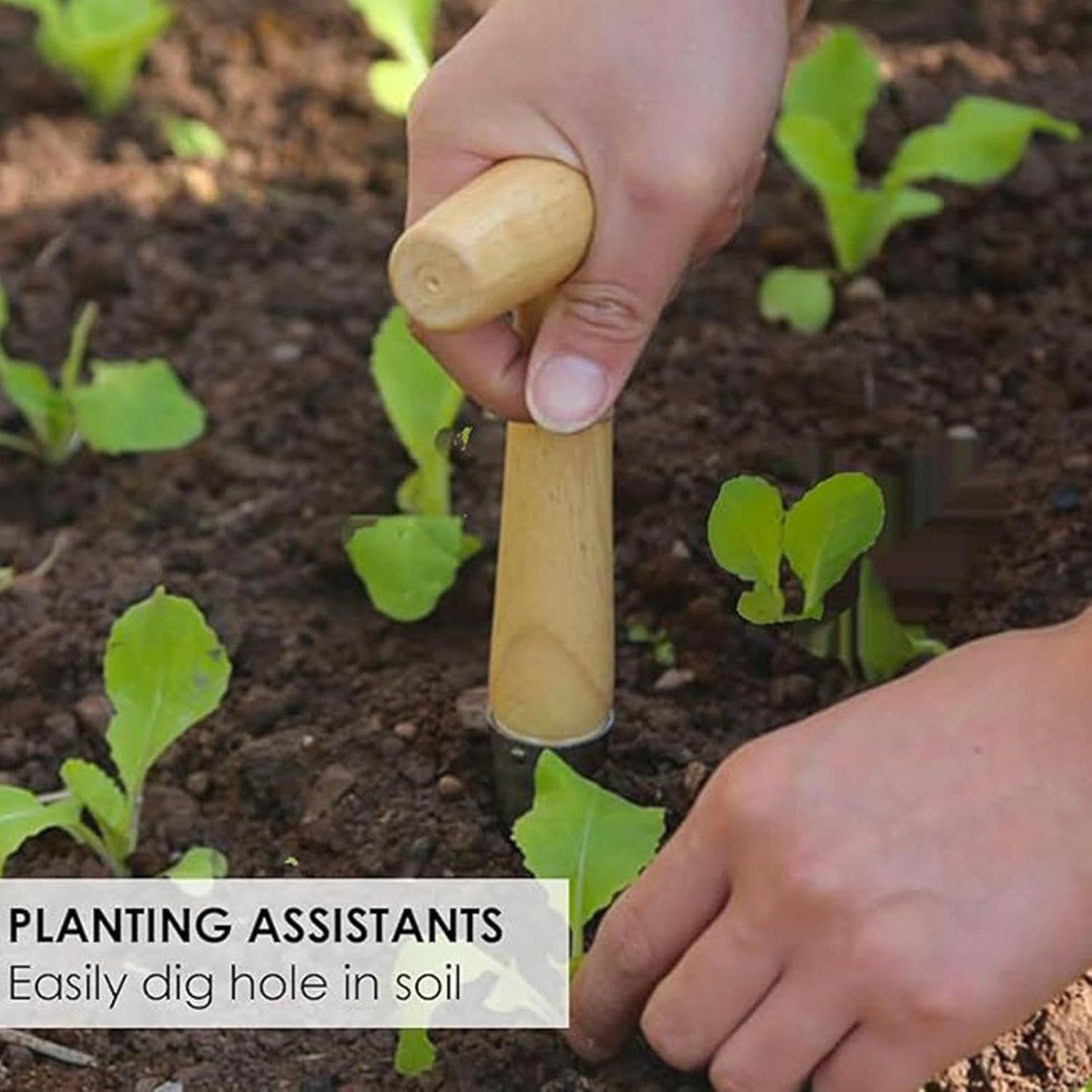 Vegetable Garden Seedling Tran - Vegetable Transplanter reseña y precio