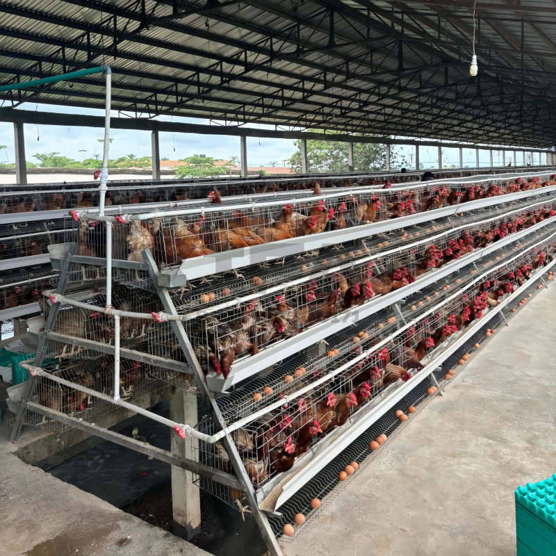 Machinery Sale In South Africa - Farming Africa reseña y precio