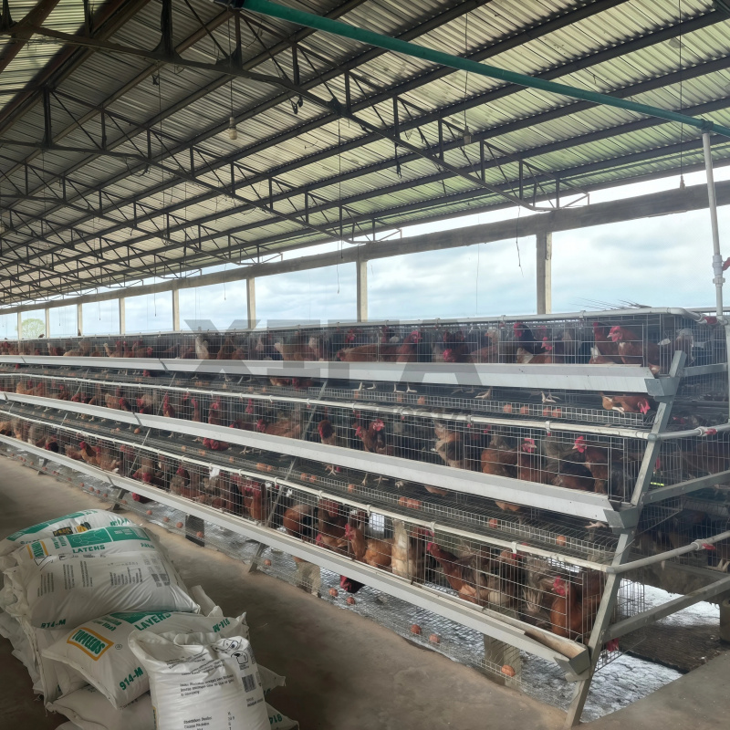 Machinery Sale In South Africa - Farming Africa reseña y precio