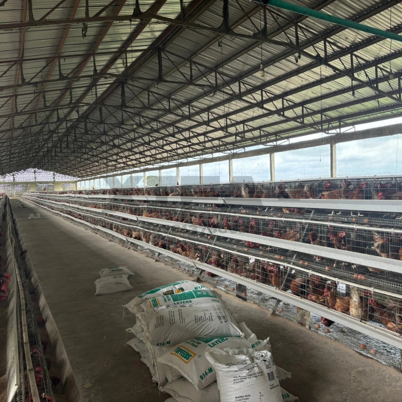 Machinery Sale In South Africa - Farming Africa reseña y precio