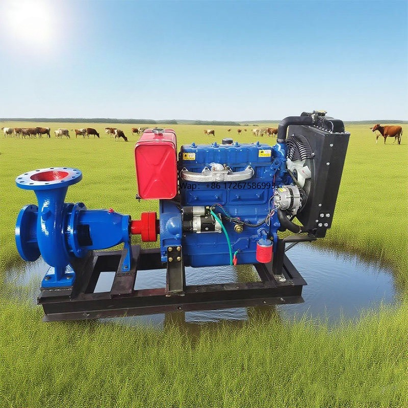 High Pressure 10 120 Self-Prim - Farming Pump For Agriculture reseña y precio