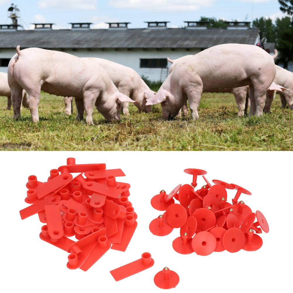 100Pcs Hand-writable Blank Liv - Livestock Ear Tag reseña y precio