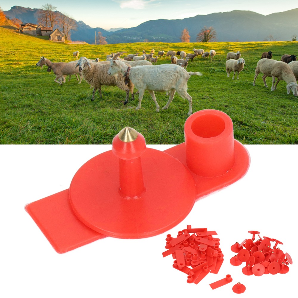 100Pcs Hand-writable Blank Liv - Livestock Ear Tag reseña y precio