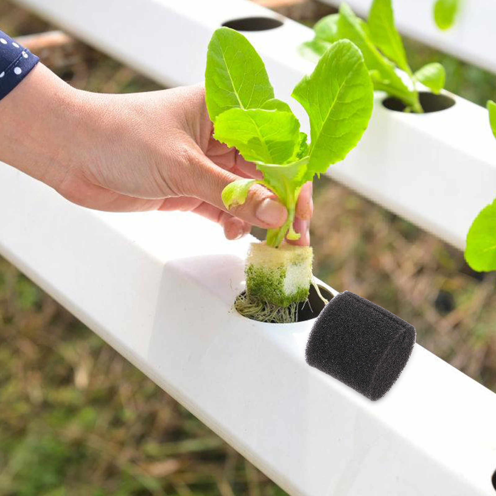 100Pcs Hydroponic Sponge Growi - Vegetable Transplanter reseña y precio