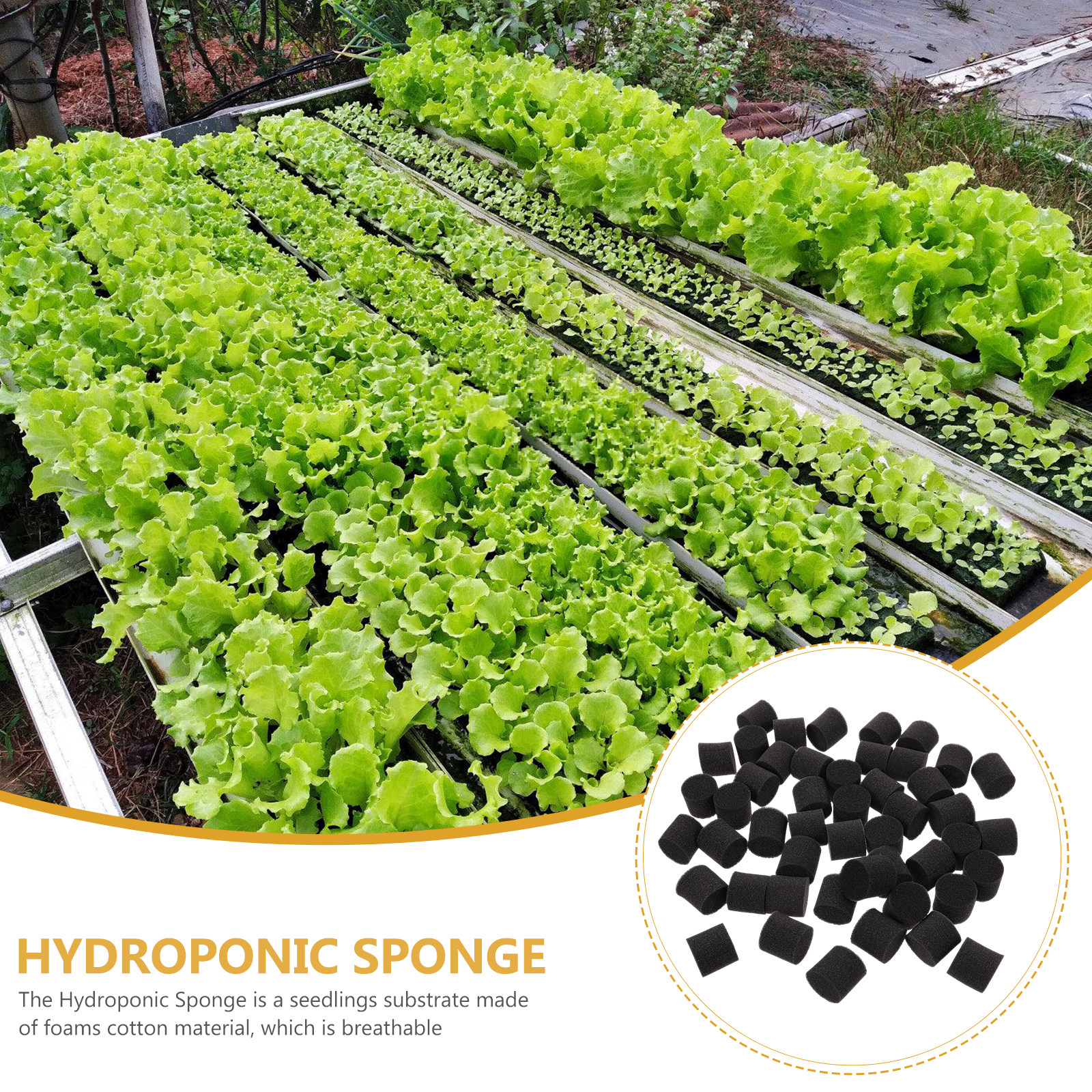 100Pcs Hydroponic Sponge Growi - Vegetable Transplanter reseña y precio