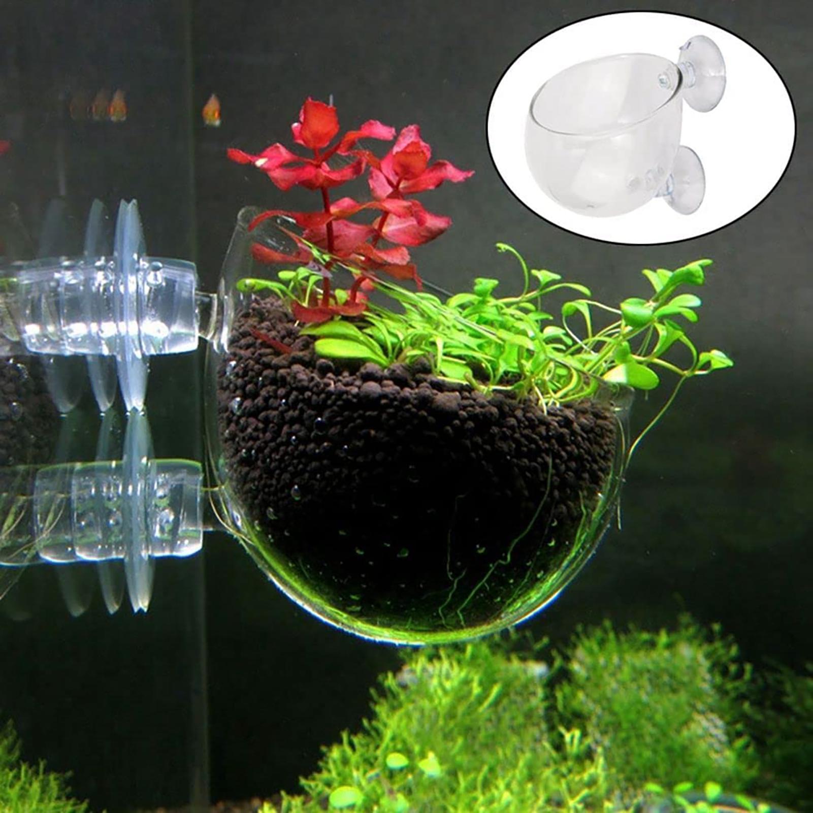 Aquatic Plant Pot Clear Acryli - Plant Growth Regulator reseña y precio