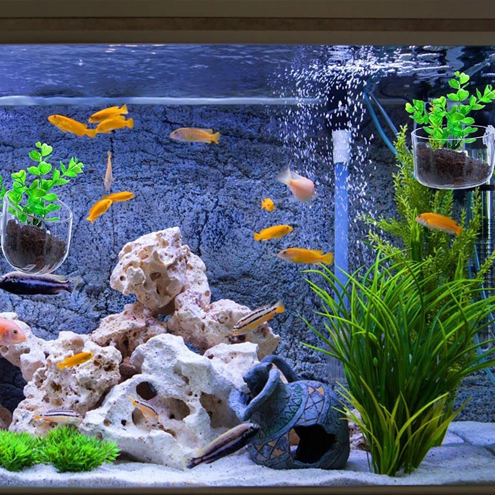 Aquatic Plant Pot Clear Acryli - Plant Growth Regulator reseña y precio