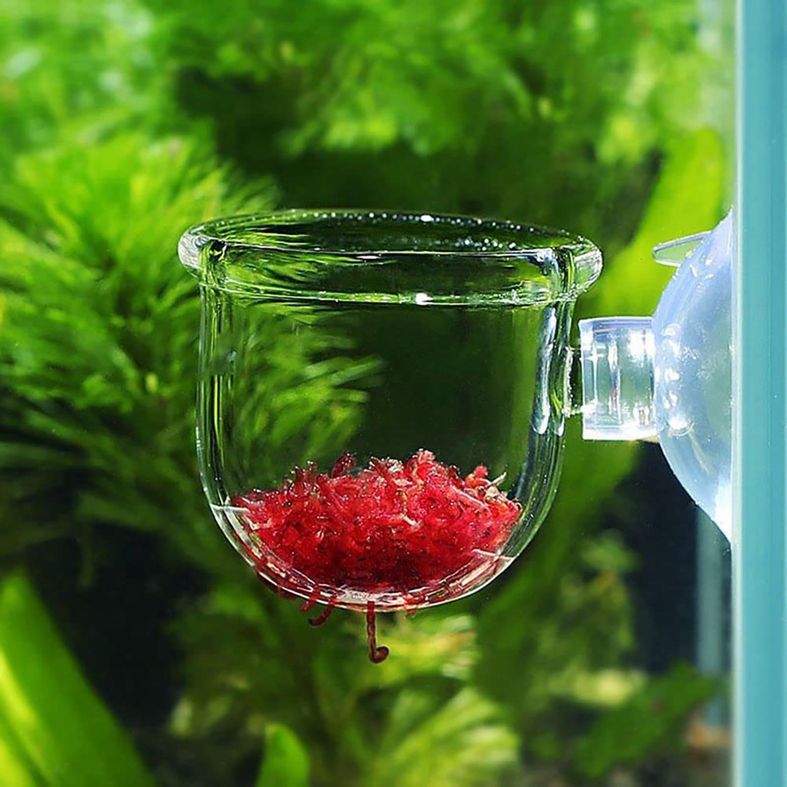 Aquatic Plant Pot Clear Acryli - Plant Growth Regulator reseña y precio