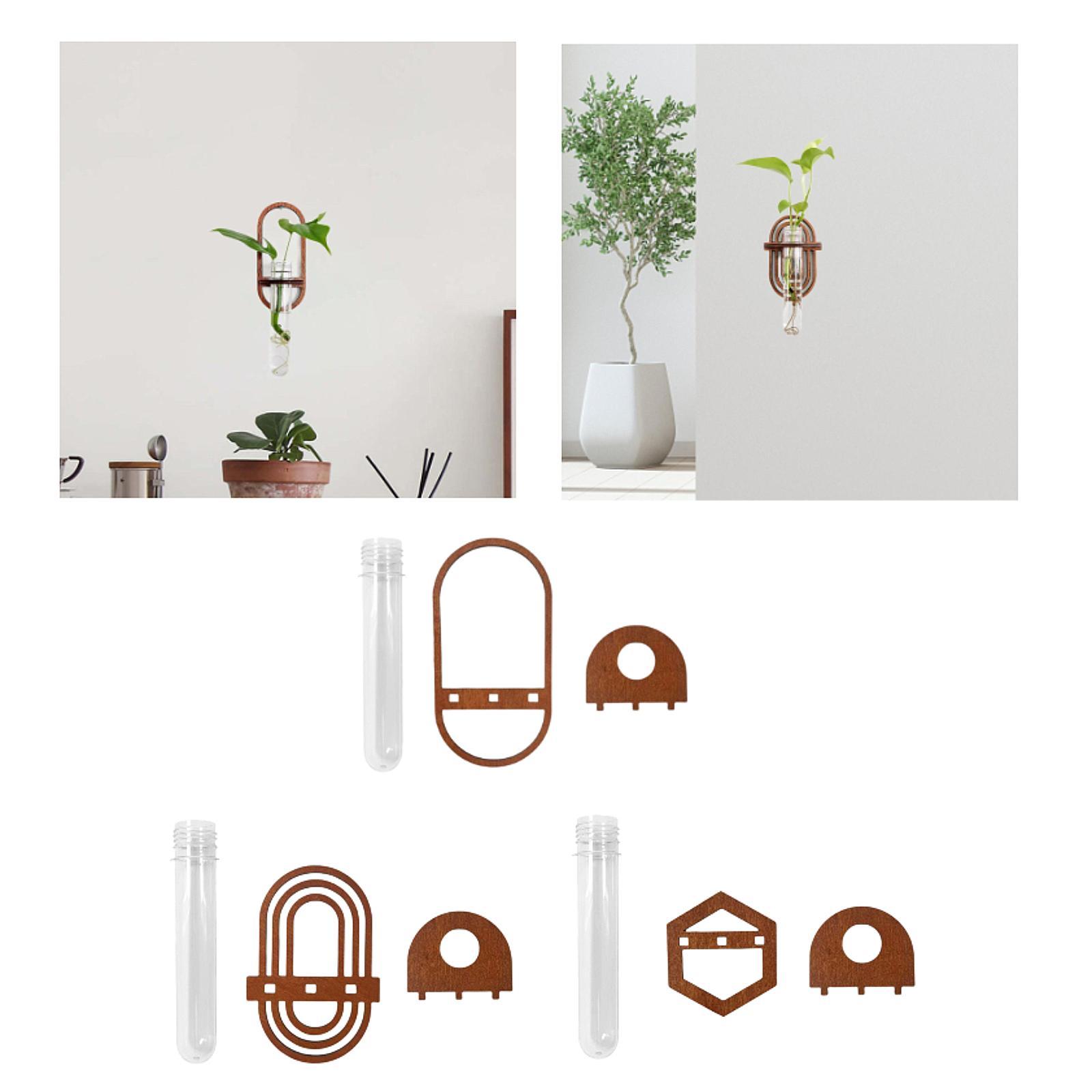 Hydroponic Vase Plant Propagat - Plant Growth Regulator reseña y precio