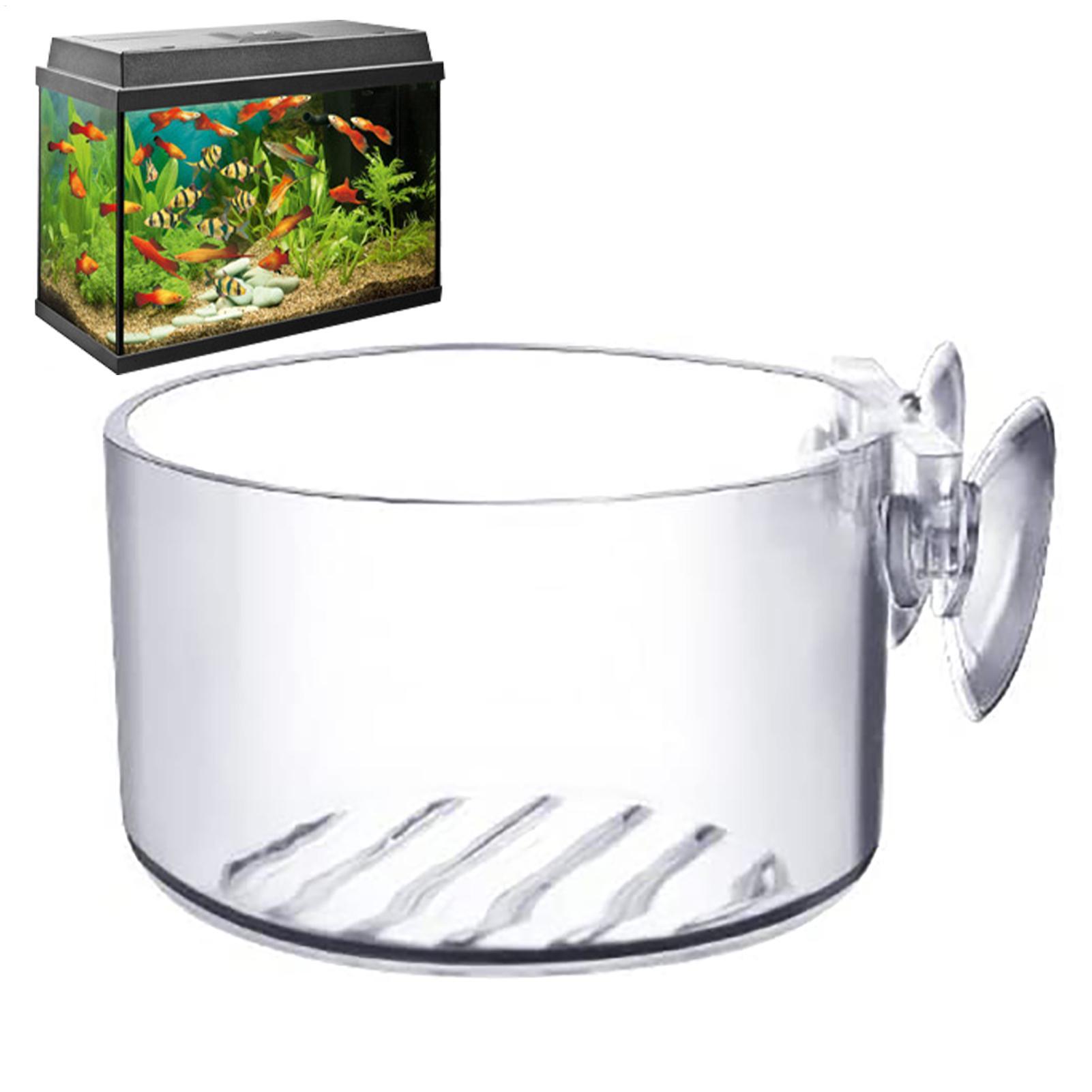 Aquatic Plant Pot Acrylic Aqua - Plant Growth Regulator reseña y precio