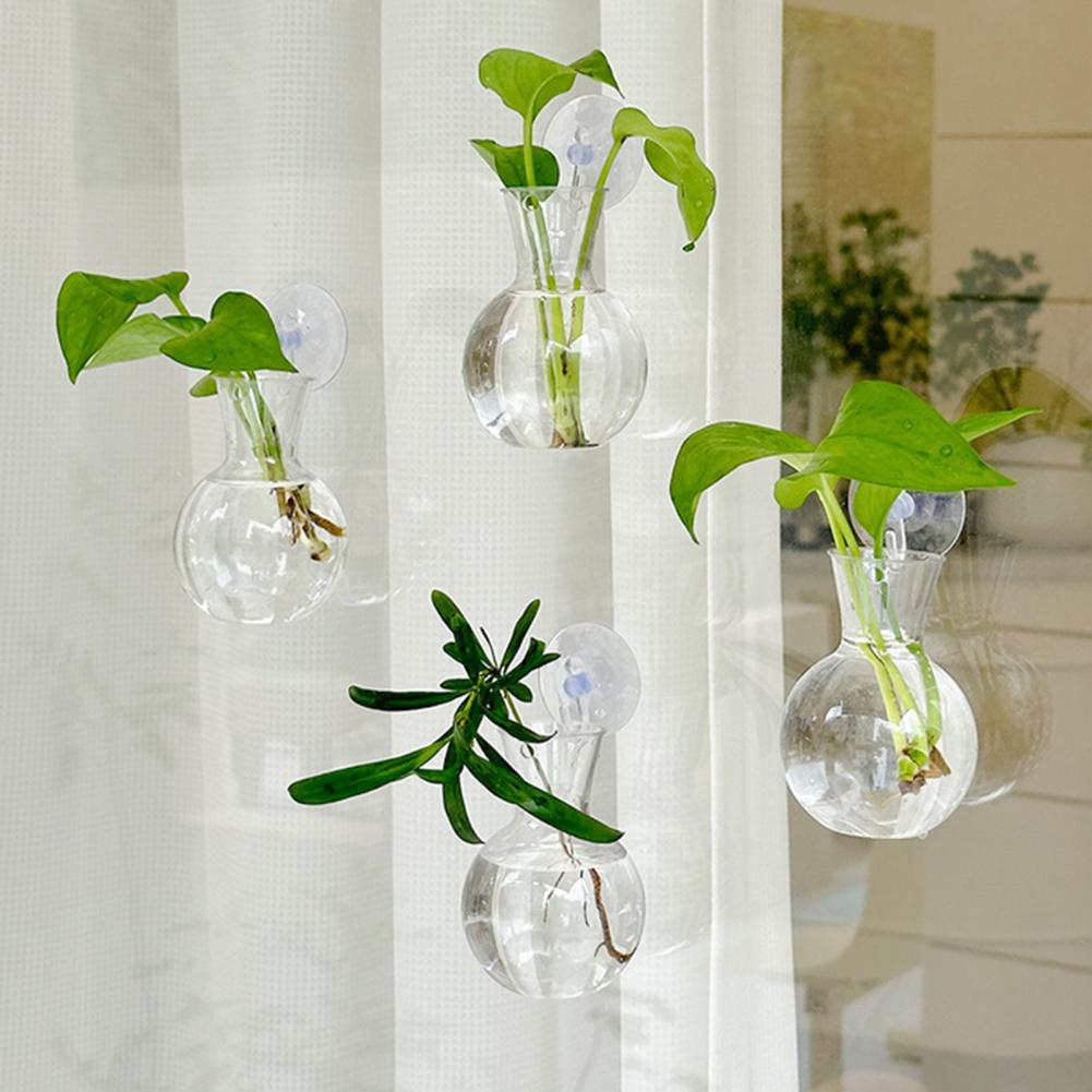 1/2/3/4/6/8Pcs Plant Propagati - Plant Growth Regulator reseña y precio
