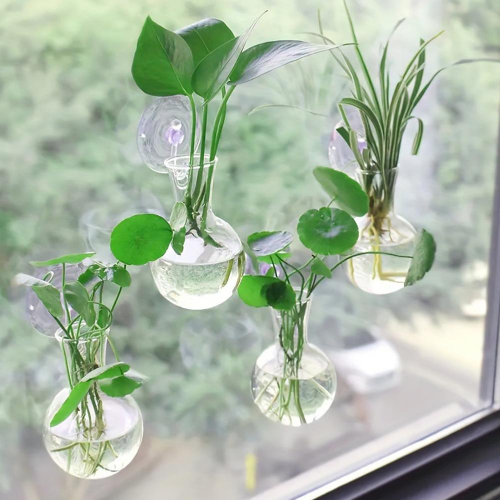 1/2/3/4/6/8Pcs Plant Propagati - Plant Growth Regulator reseña y precio