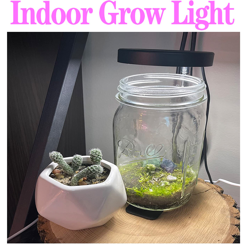 Full Spectrum Plant Lamp USB G - Plant Growth Regulator reseña y precio