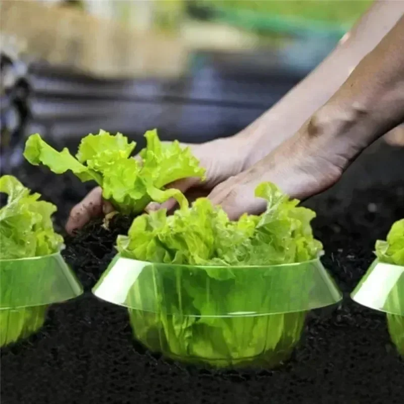 Plants Slug Protection Rings V - Vegetable Transplanter reseña y precio