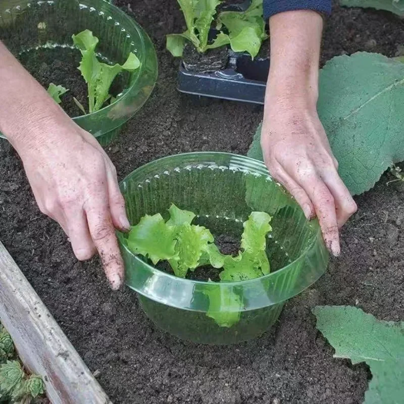 Plants Slug Protection Rings V - Vegetable Transplanter reseña y precio